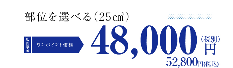ヘアアートメイクどこでもワンポイント52800円