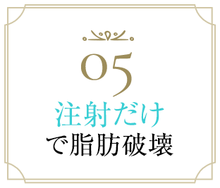 05注射だけで脂肪破壊