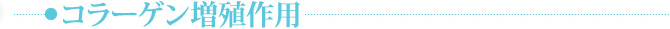 コラーゲン増殖作用