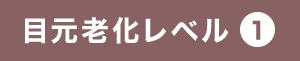 目元老化レベル1