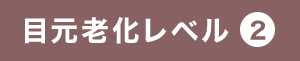 目元老化レベル2