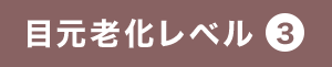 目元老化レベル3