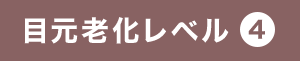 目元老化レベル4