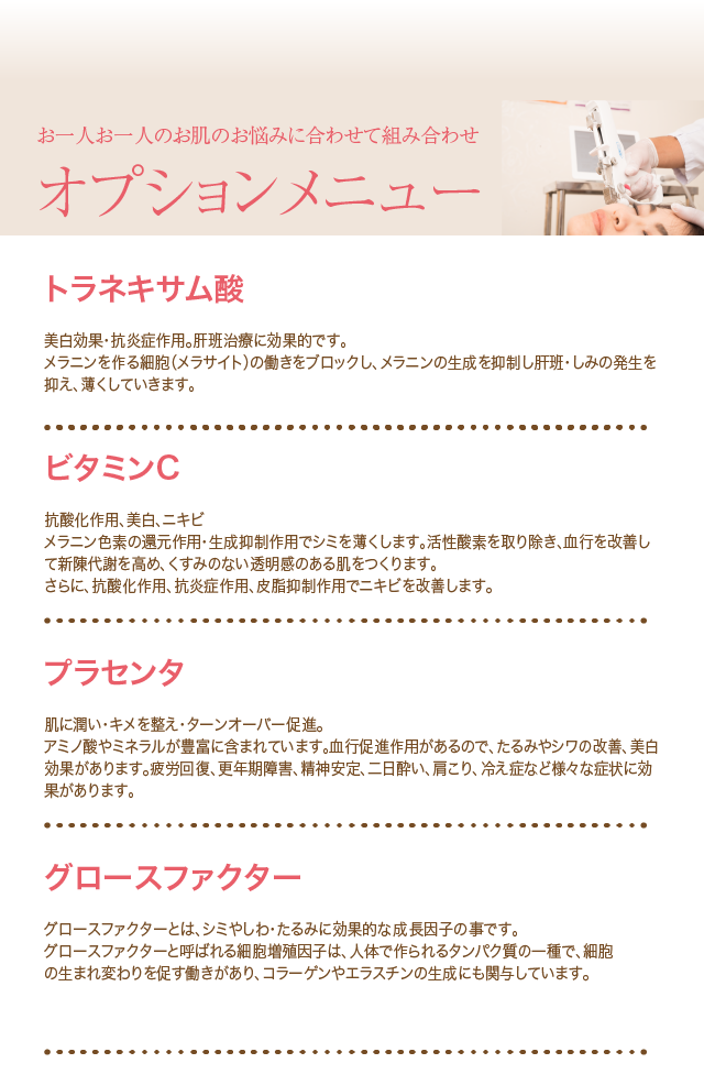 オプションメニュー