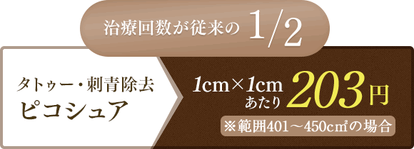治療回数が従来の1/2 タトゥー・刺青除去 ピコシュア 1cm×1cmあたり 415円