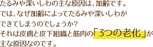 たるみや深いしわの主な原因は、加齢です。では、なぜ加齢によってたるみや深いしわができてしまうのでしょうか？それは皮膚と皮下組織と筋肉の「3つの老化」が主な原因なのです。