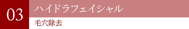 ハイドラフェイシャル